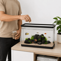 Acrylic Aquarium