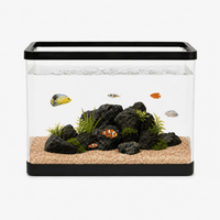 Acrylic Aquarium