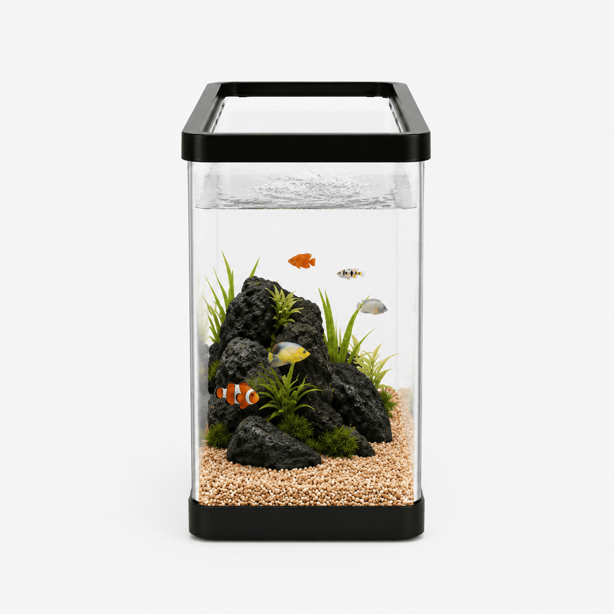 Acrylic Aquarium