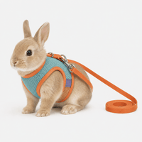 Adjustable Rabbit Harness