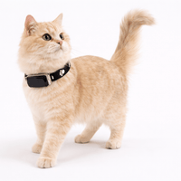 Anti-Escape Cat Collar