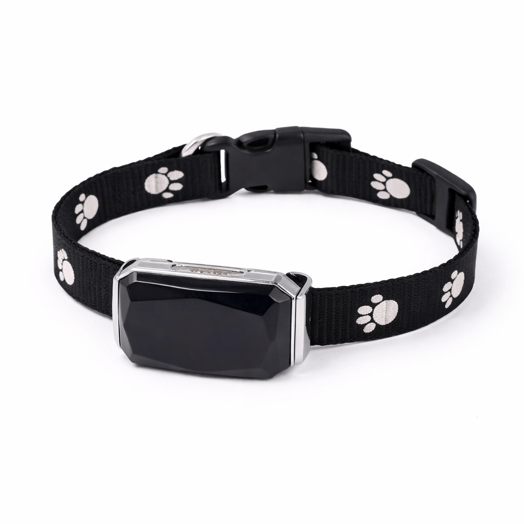 Anti-Escape Cat Collar