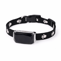 Anti-Escape Cat Collar