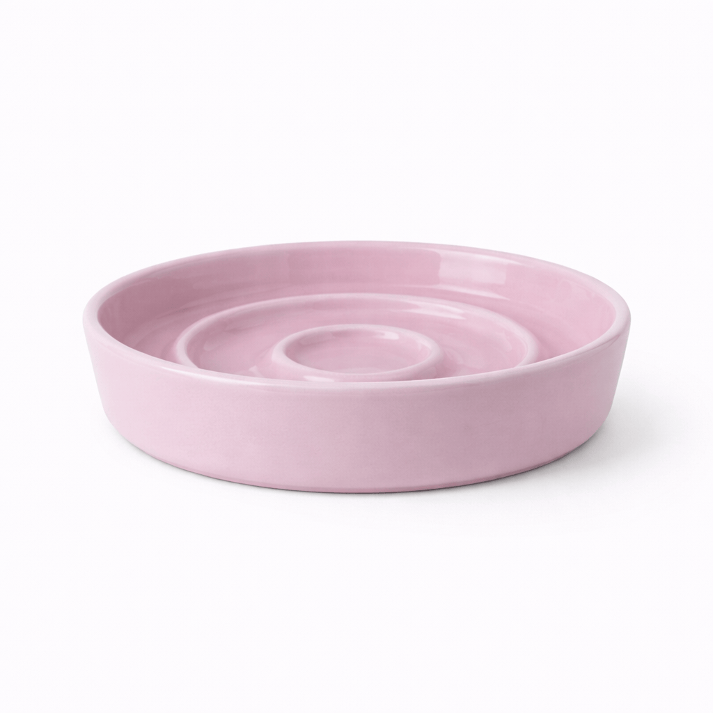 Anti Gluttonous Cat Bowl
