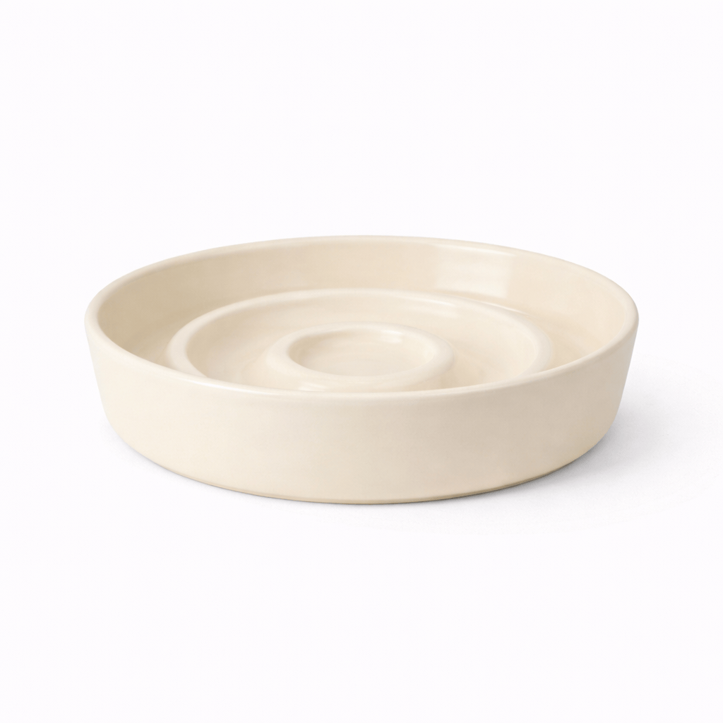 Anti Gluttonous Cat Bowl