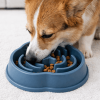 Anti Gluttonous Dog Bowl