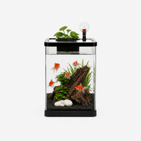 Aquarium Modern Design