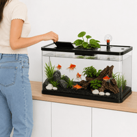 Aquarium Modern Design