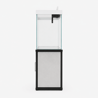 Aquarium with Furniture