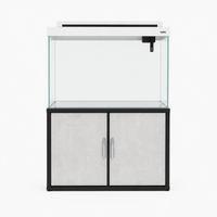 Aquarium with Furniture