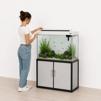 Aquarium with Furniture