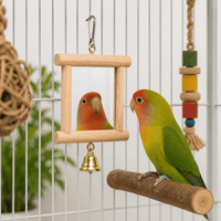 Bird Mirror Toy