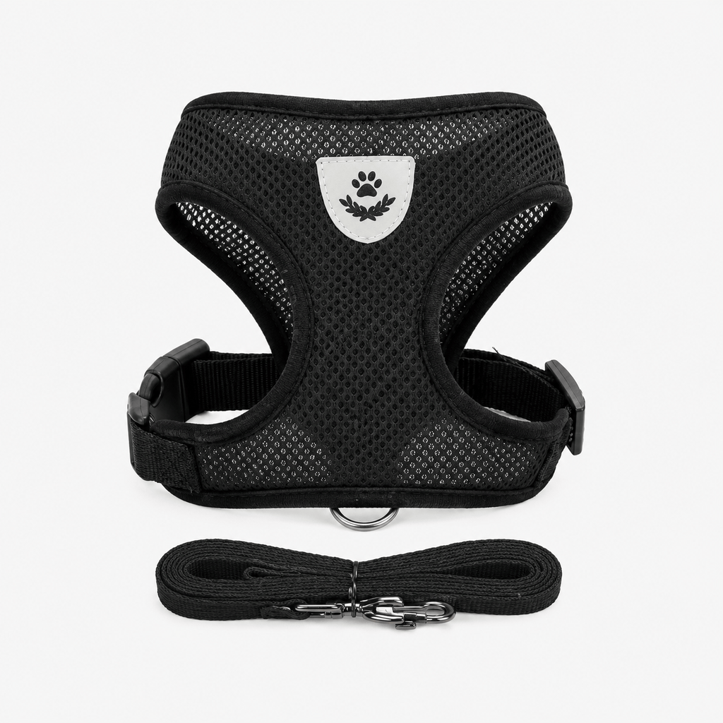 Cat Harness with Leash