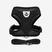 Cat Harness with Leash