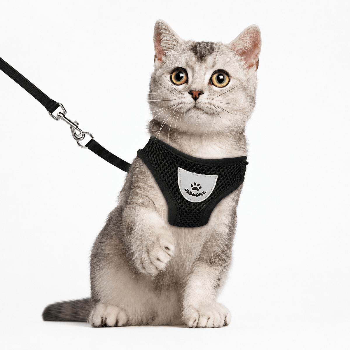 Cat Harness with Leash