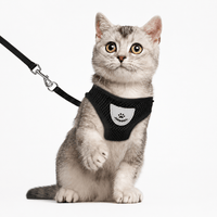 Cat Harness with Leash