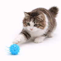 Cat Light Ball