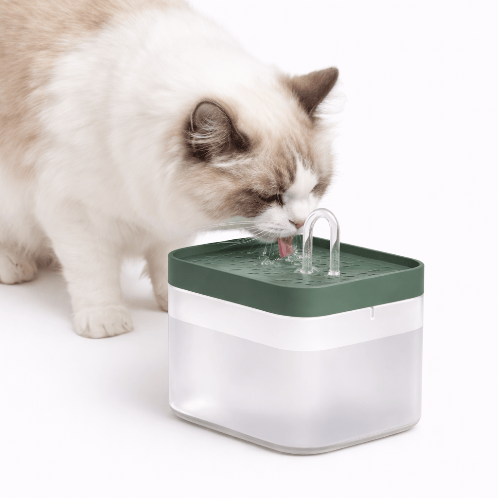 Cat Water Dispenser