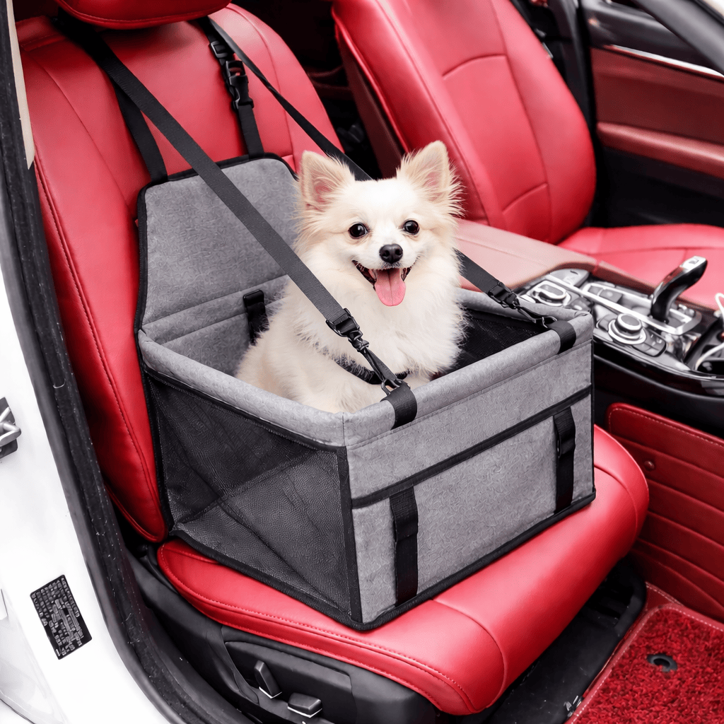 Dog Car Seat