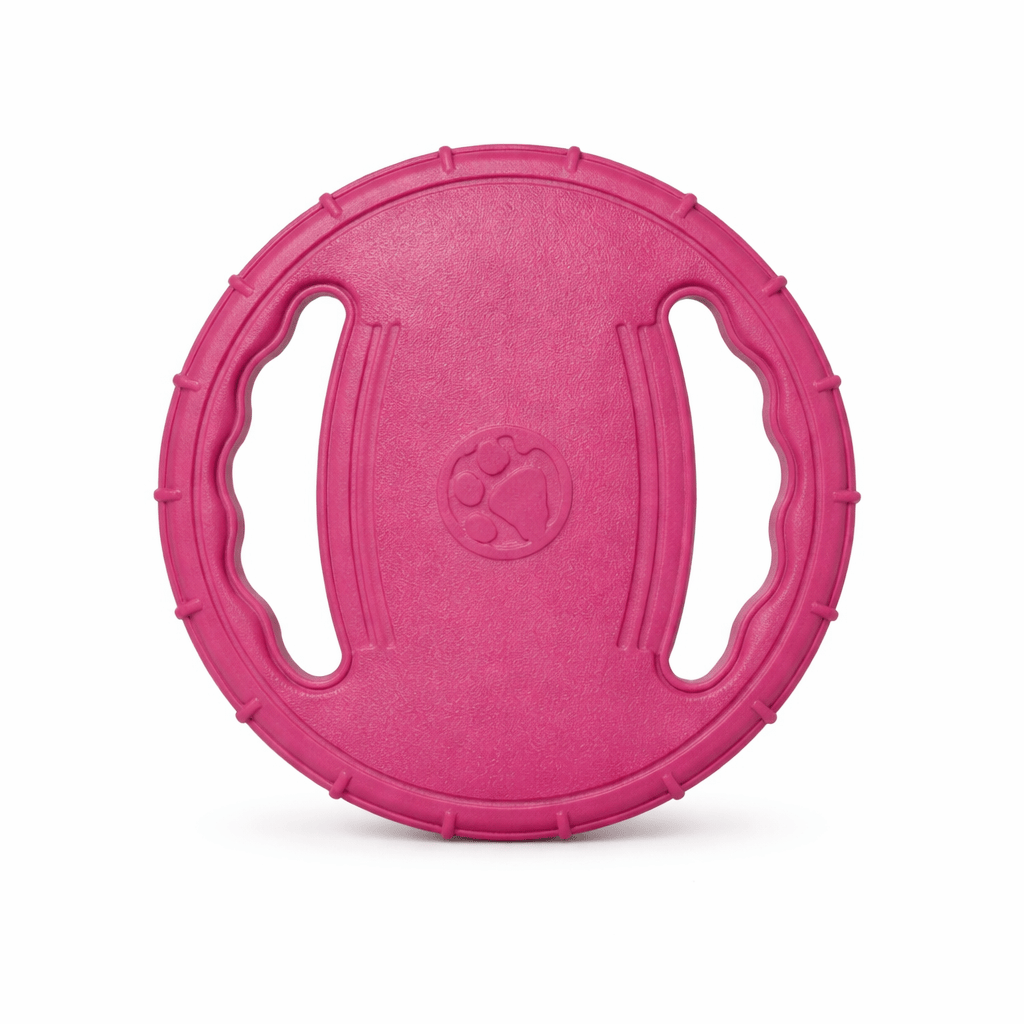 Dog Frisbee