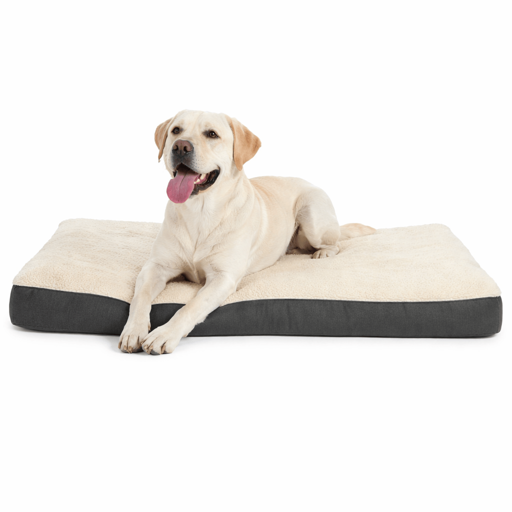 Dog Memory Foam Mattress