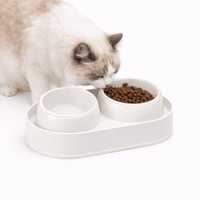 Double Cat Bowl