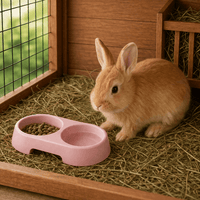 Double Rabbit Bowl