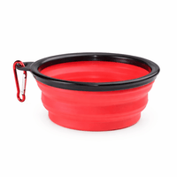 Foldable Travel Bowl