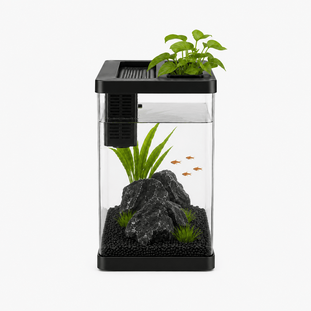 Freshwater Aquarium