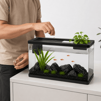 Freshwater Aquarium