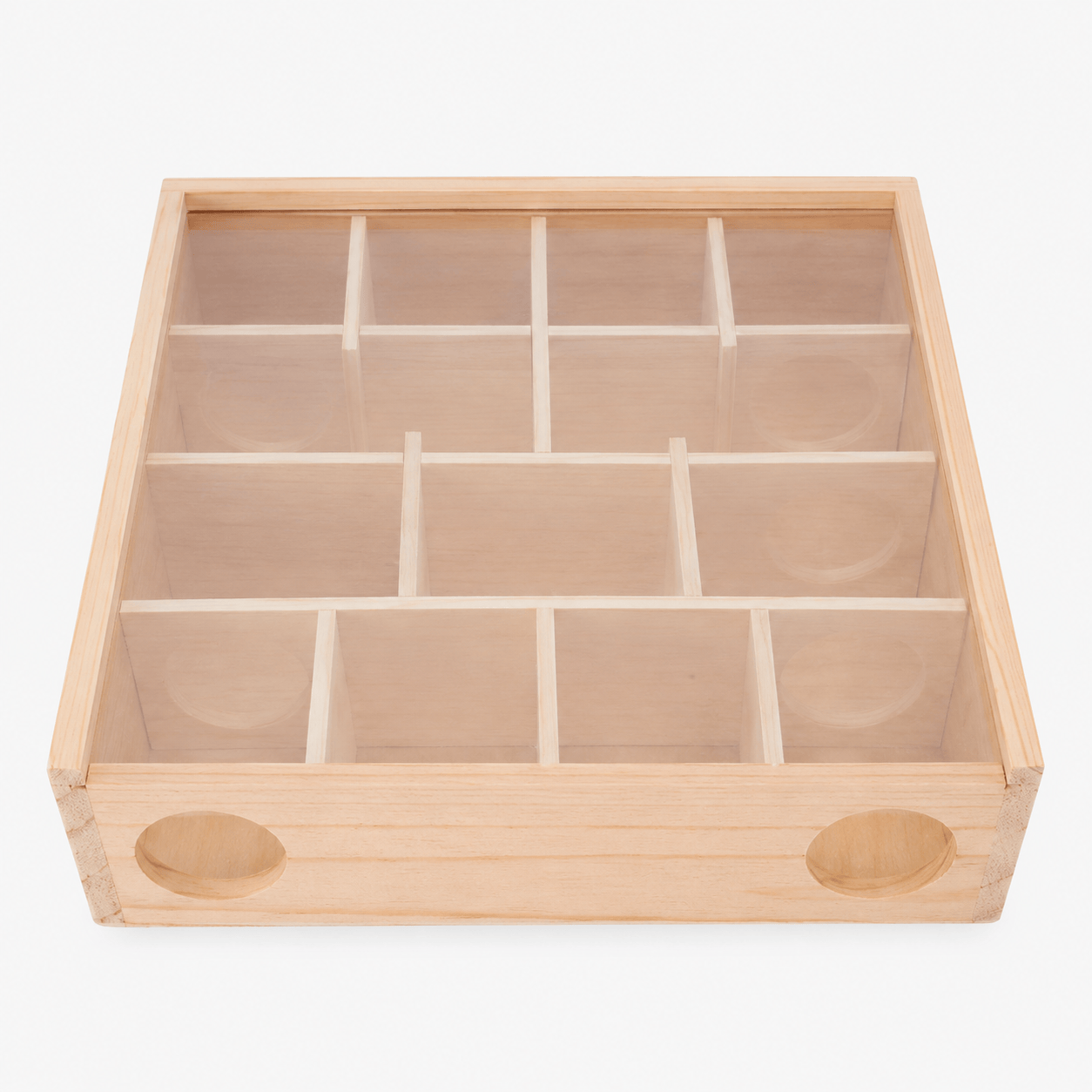 Hamster Modular Maze