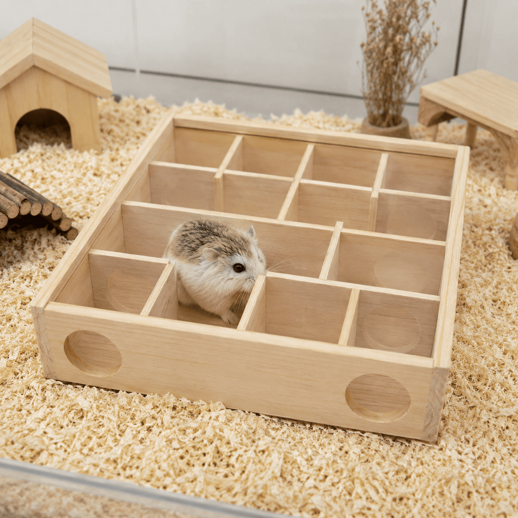 Hamster Modular Maze