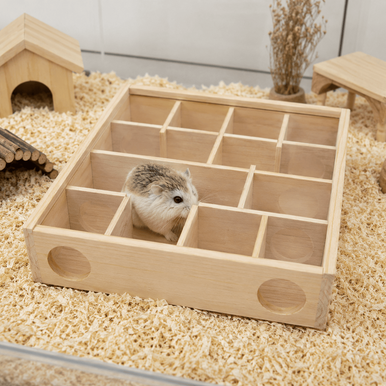 Hamster Modular Maze
