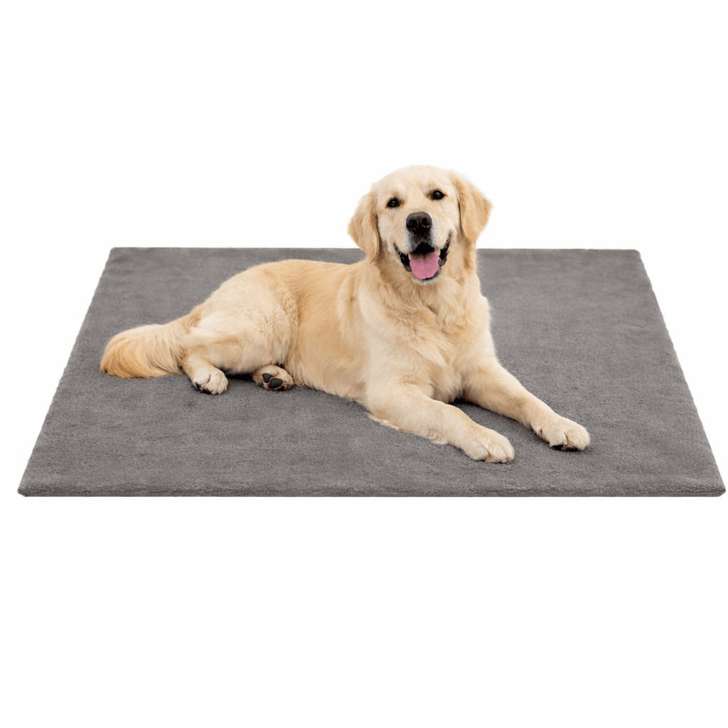 Heated Dog Bed