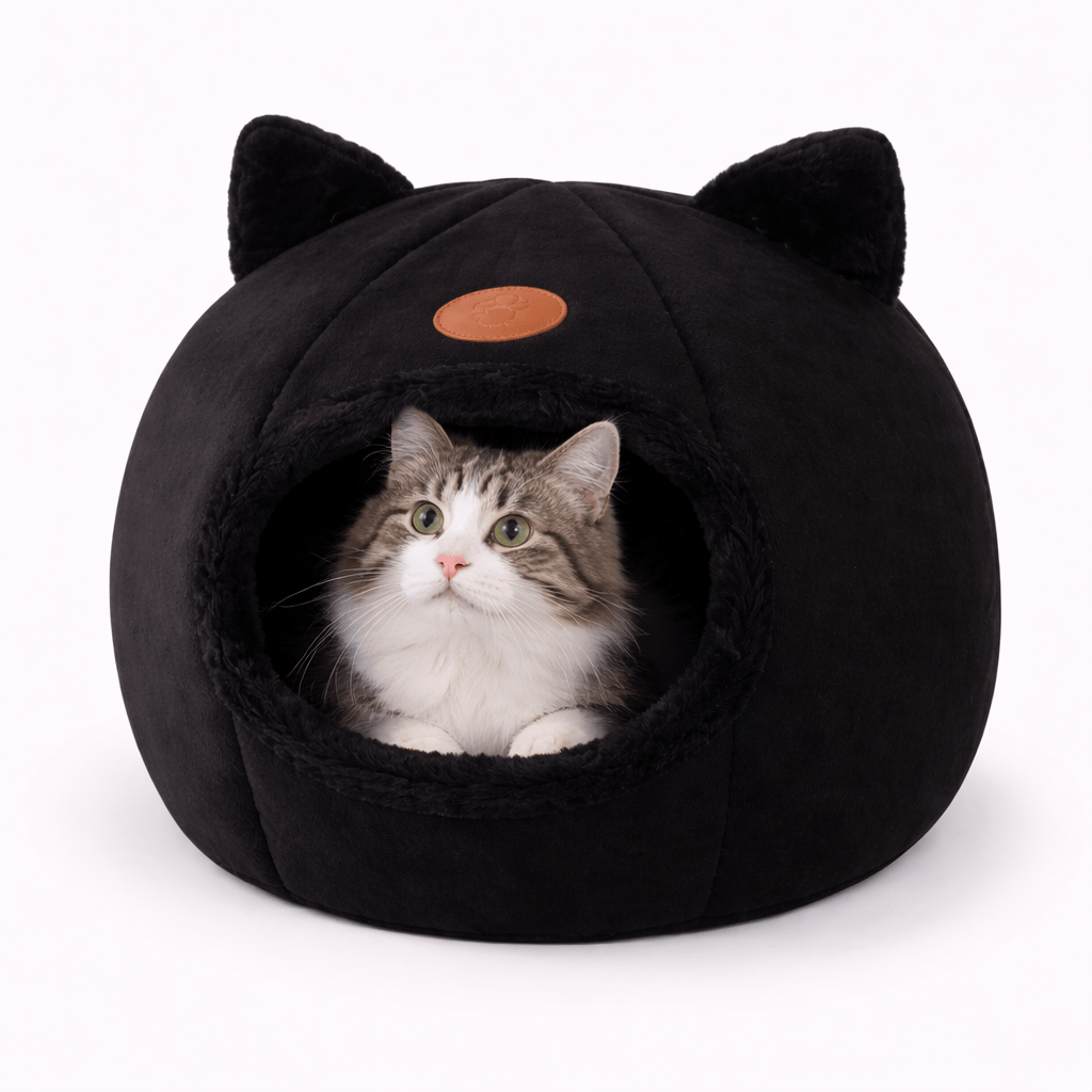 Igloo for Cat
