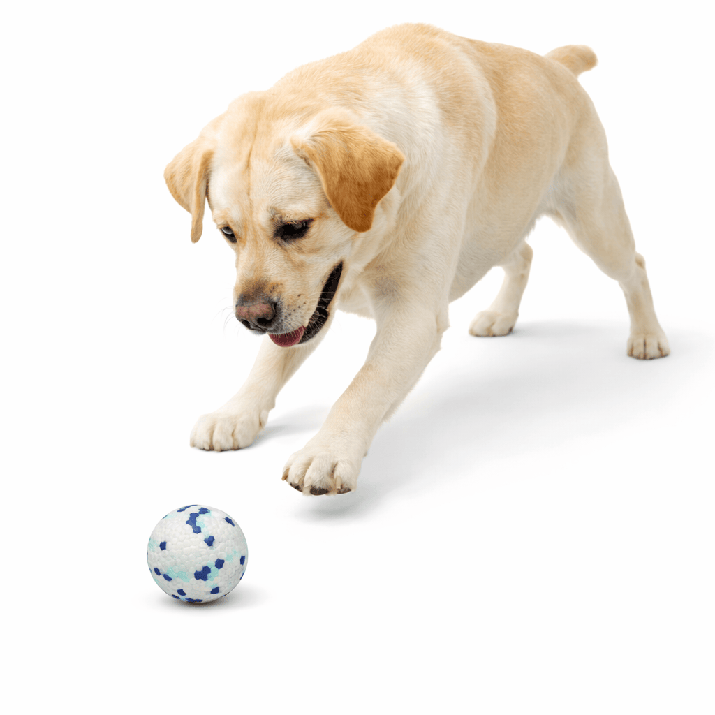 Indestructible Dog Ball