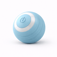 Interactive Cat Toy