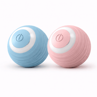 Interactive Cat Toy