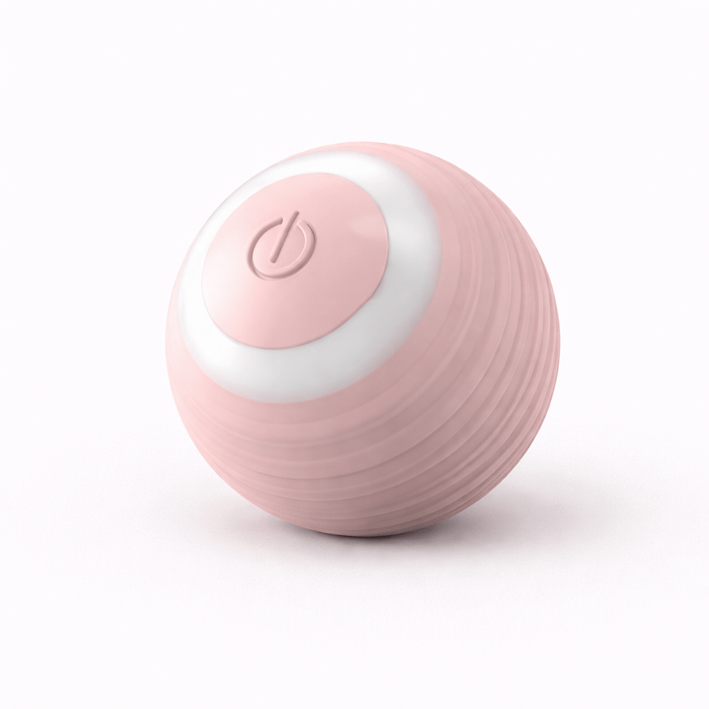 Interactive Cat Toy