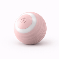 Interactive Cat Toy