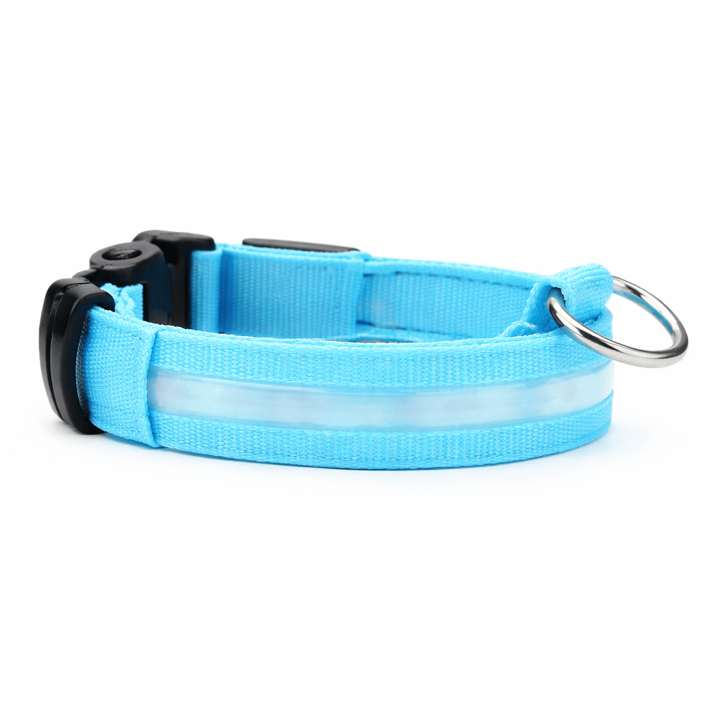 LED Dog Light Collar