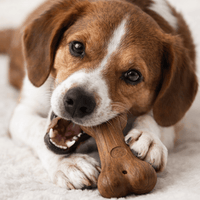 Natural Chew Toy