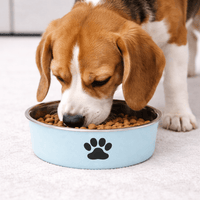 Non-slip stainless steel bowl
