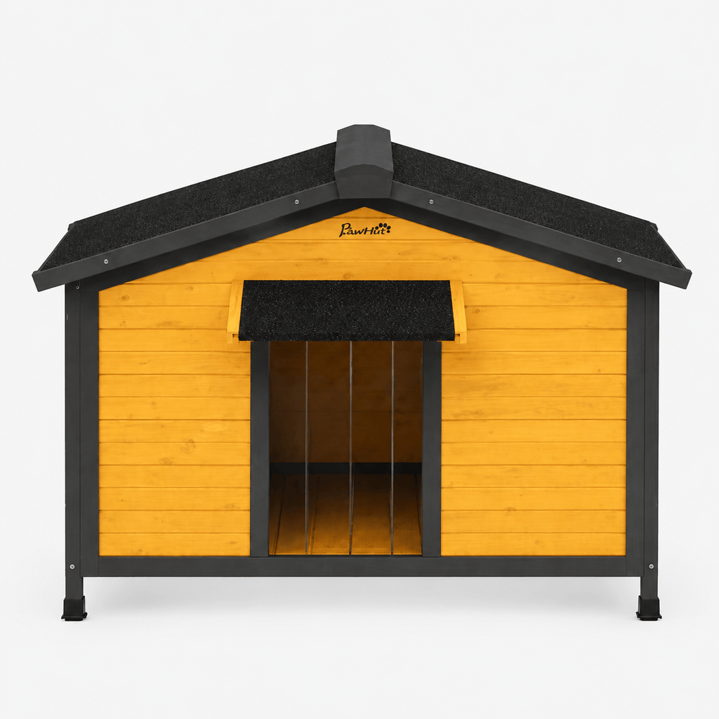 Outdoor Dog Kennel