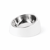 Personalized Cat Bowl