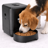 Programmable Food Dispenser