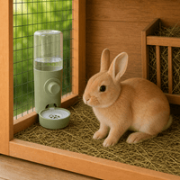 Rabbit Water Dispenser