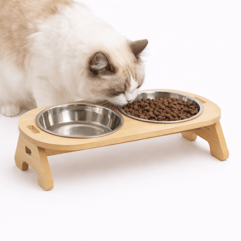 Raised Cat Bowl