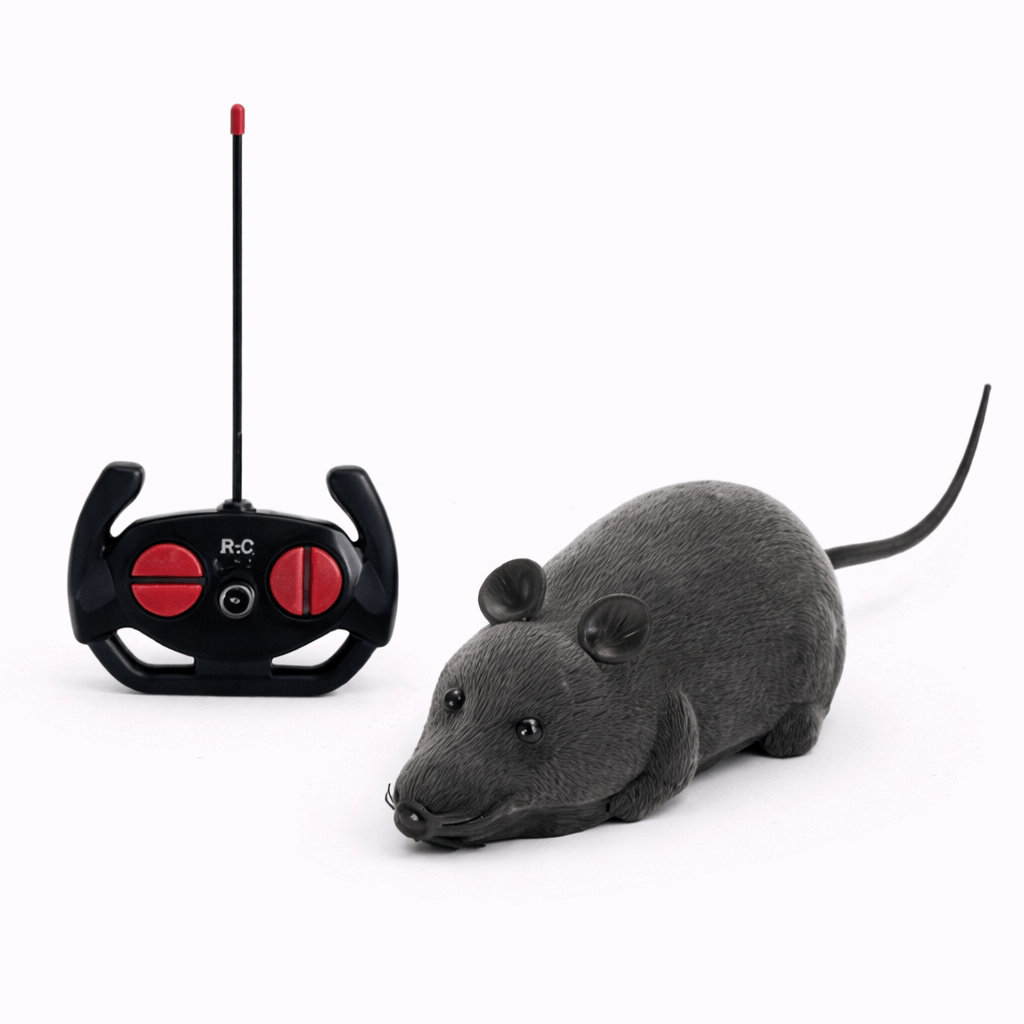 Remote Control Mouse Cat