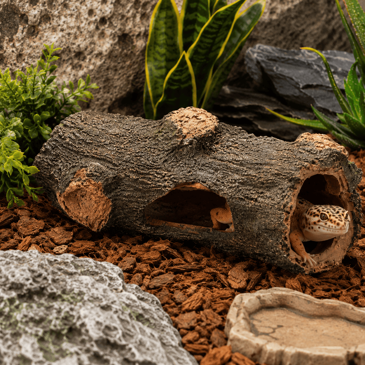 Reptile Cork Tunnel